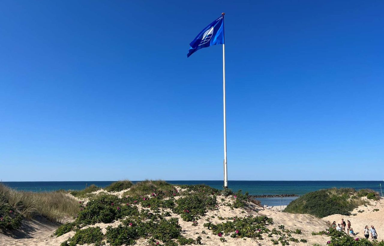 Blå Flag-strande — blåt flag på en hvid stang ved sandklitter med grønne buske og klart blåt hav under en sommerhimmel