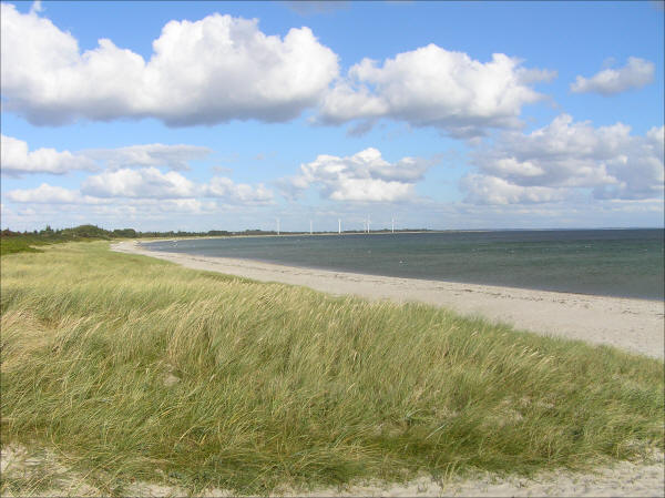 Kerneland Strand, folk på den brede hvide sandstrand ved sandklitter med havgræs og klart blåt hav under en sommerhimmel